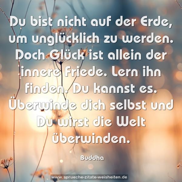 Du bist nicht auf der Erde, um unglücklich zu werden.
Doch Glück ist allein der innere Friede. Lern ihn finden.
Du kannst es.
Überwinde dich selbst und Du wirst die Welt überwinden.