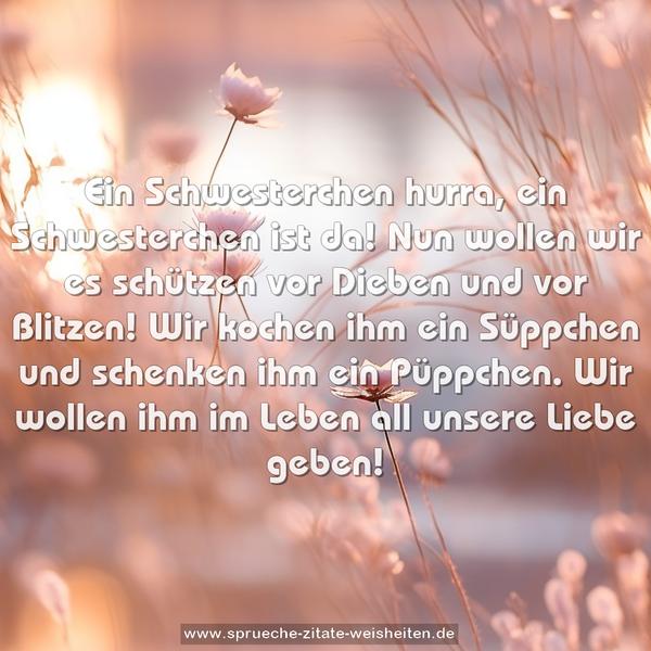 Ein Schwesterchen hurra, ein Schwesterchen ist da!
Nun wollen wir es schützen vor Dieben und vor Blitzen!
Wir kochen ihm ein Süppchen und schenken ihm ein Püppchen.
Wir wollen ihm im Leben all unsere Liebe geben!