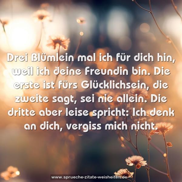 Drei Blümlein mal ich für dich hin,
weil ich deine Freundin bin.
Die erste ist fürs Glücklichsein,
die zweite sagt, sei nie allein.
Die dritte aber leise spricht:
Ich denk an dich, vergiss mich nicht.