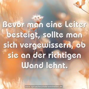 Bevor man eine Leiter besteigt,
sollte man sich vergewissern,
ob sie an der richtigen Wand lehnt.