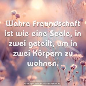 Wahre Freundschaft ist wie eine Seele,
in zwei geteilt,
um in zwei Körpern zu wohnen.