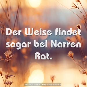 Der Weise findet sogar bei Narren Rat. 