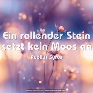 Ein rollender Stein setzt kein Moos an