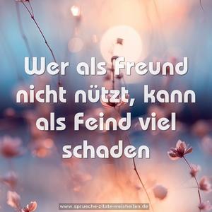 Wer als Freund nicht nützt,
kann als Feind viel schaden