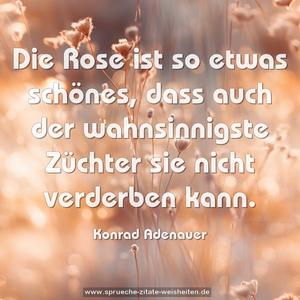 Die Rose ist so etwas schönes,
dass auch der wahnsinnigste Züchter sie nicht verderben kann.