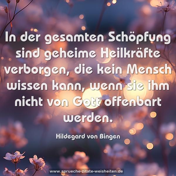 In der gesamten Schöpfung sind geheime Heilkräfte verborgen, die kein Mensch wissen kann,
wenn sie ihm nicht von Gott offenbart werden.
