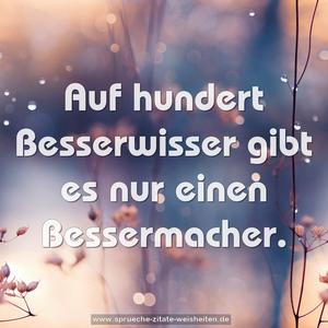 Auf hundert Besserwisser gibt es nur einen Bessermacher.