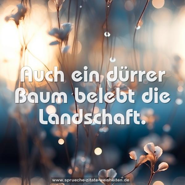 Auch ein dürrer Baum belebt die Landschaft.