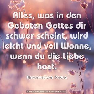 Alles, was in den Geboten Gottes dir schwer scheint,
wird leicht und voll Wonne, wenn du die Liebe hast.