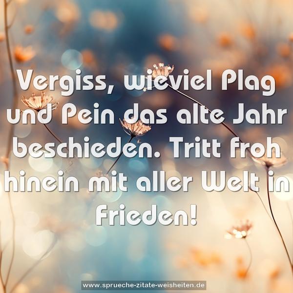 Vergiss, wieviel Plag und Pein
das alte Jahr beschieden.
Tritt froh hinein
mit aller Welt in Frieden!