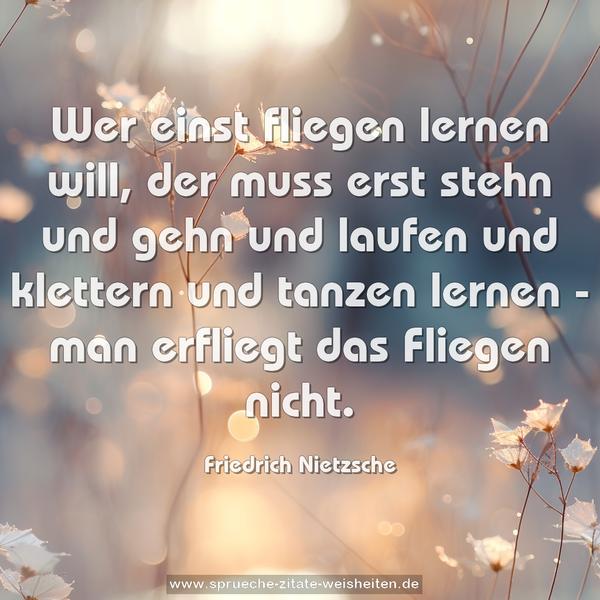 Wer einst fliegen lernen will,
der muss erst stehn und gehn und laufen und klettern und tanzen lernen -
man erfliegt das Fliegen nicht.