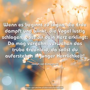 Wenn es beginnt zu tagen, die Erde dampft und blinkt,
die Vögel lustig schlagen, dass dir dein Herz erklingt:
Da mag vergehn, verwehen das trübe Erdenleid,
da sollst du auferstehen in junger Herrlichkeit!