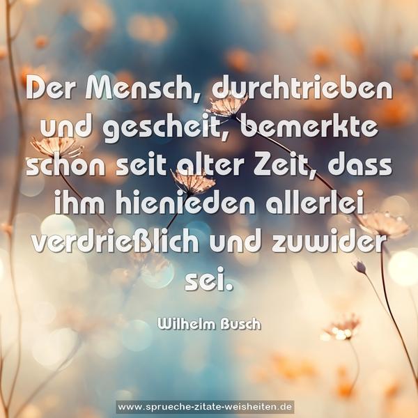 Der Mensch, durchtrieben und gescheit,
bemerkte schon seit alter Zeit,
dass ihm hienieden allerlei
verdrießlich und zuwider sei.