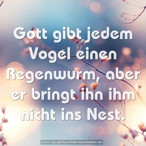 Gott gibt jedem Vogel einen Regenwurm,
aber er bringt ihn ihm nicht ins Nest.