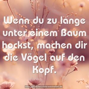 Wenn du zu lange unter einem Baum hockst, 
machen dir die Vögel auf den Kopf.