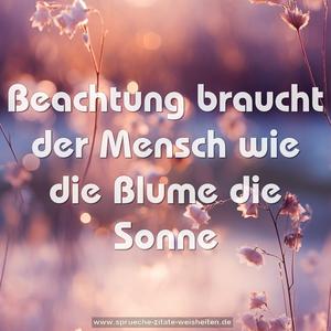 Beachtung braucht der Mensch
wie die Blume die Sonne