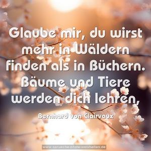 Glaube mir, du wirst mehr in Wäldern finden als in Büchern. Bäume und Tiere werden dich lehren,
