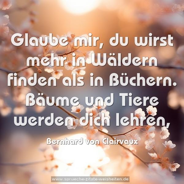 Glaube mir, du wirst mehr in Wäldern finden als in Büchern. Bäume und Tiere werden dich lehren,