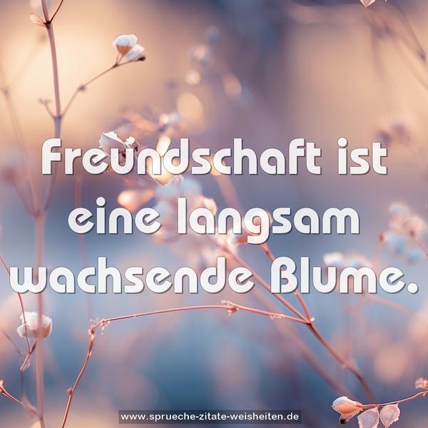 Freundschaft ist eine langsam wachsende Blume.