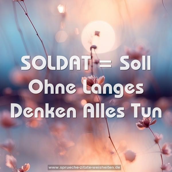  SOLDAT = Soll Ohne Langes Denken Alles Tun