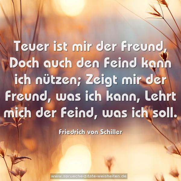 Teuer ist mir der Freund,
Doch auch den Feind kann ich nützen;
Zeigt mir der Freund, was ich kann,
Lehrt mich der Feind, was ich soll.