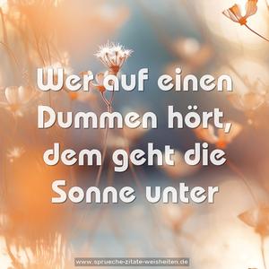 Wer auf einen Dummen hört, dem geht die Sonne unter